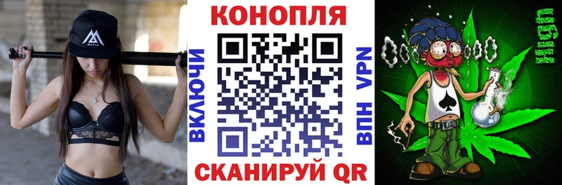 Купить закладку Alpha-PVP  Мефедрон  Гашиш  АМФ  Марихуана  Карачаевск
