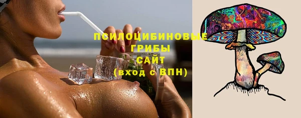 соль ск Богородицк