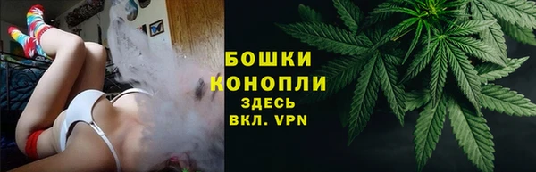 мдпв Богородск