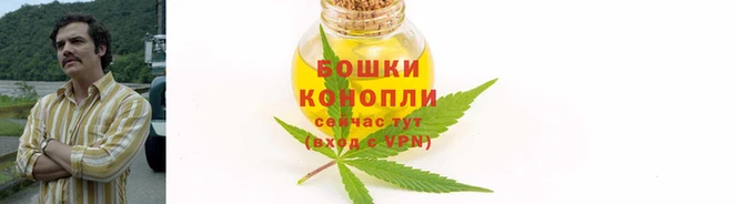 МДПВ Богданович
