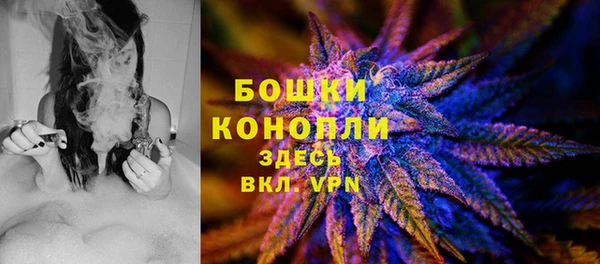 МДПВ Богданович