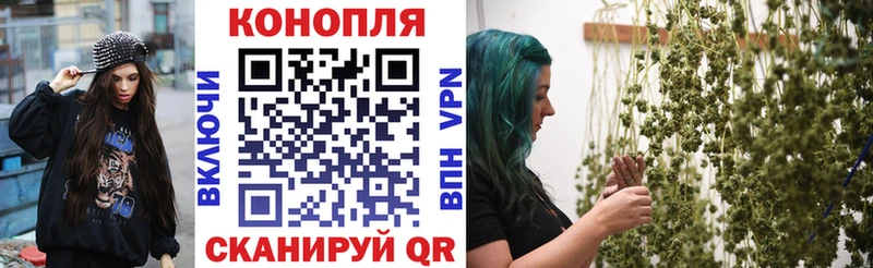 Купить закладки  Карачаевск  Конопля тримм 